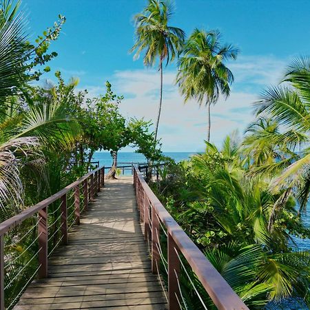 Oso Perezoso Pool Villa Puerto Viejo de Talamanca Екстериор снимка