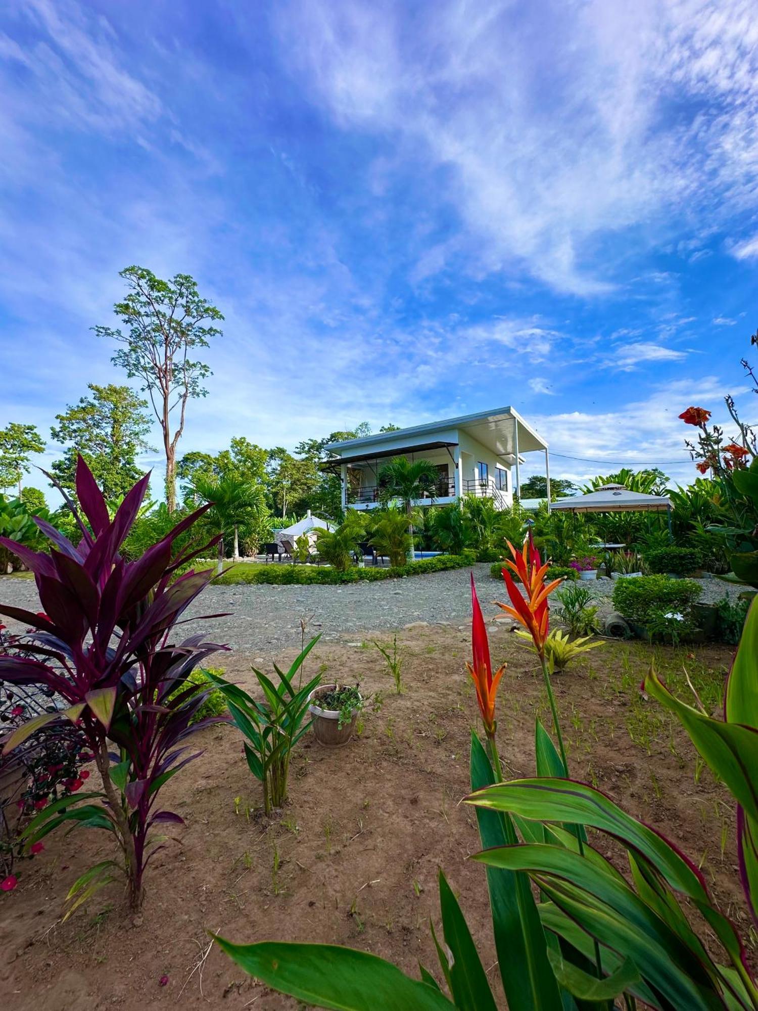 Oso Perezoso Pool Villa Puerto Viejo de Talamanca Екстериор снимка