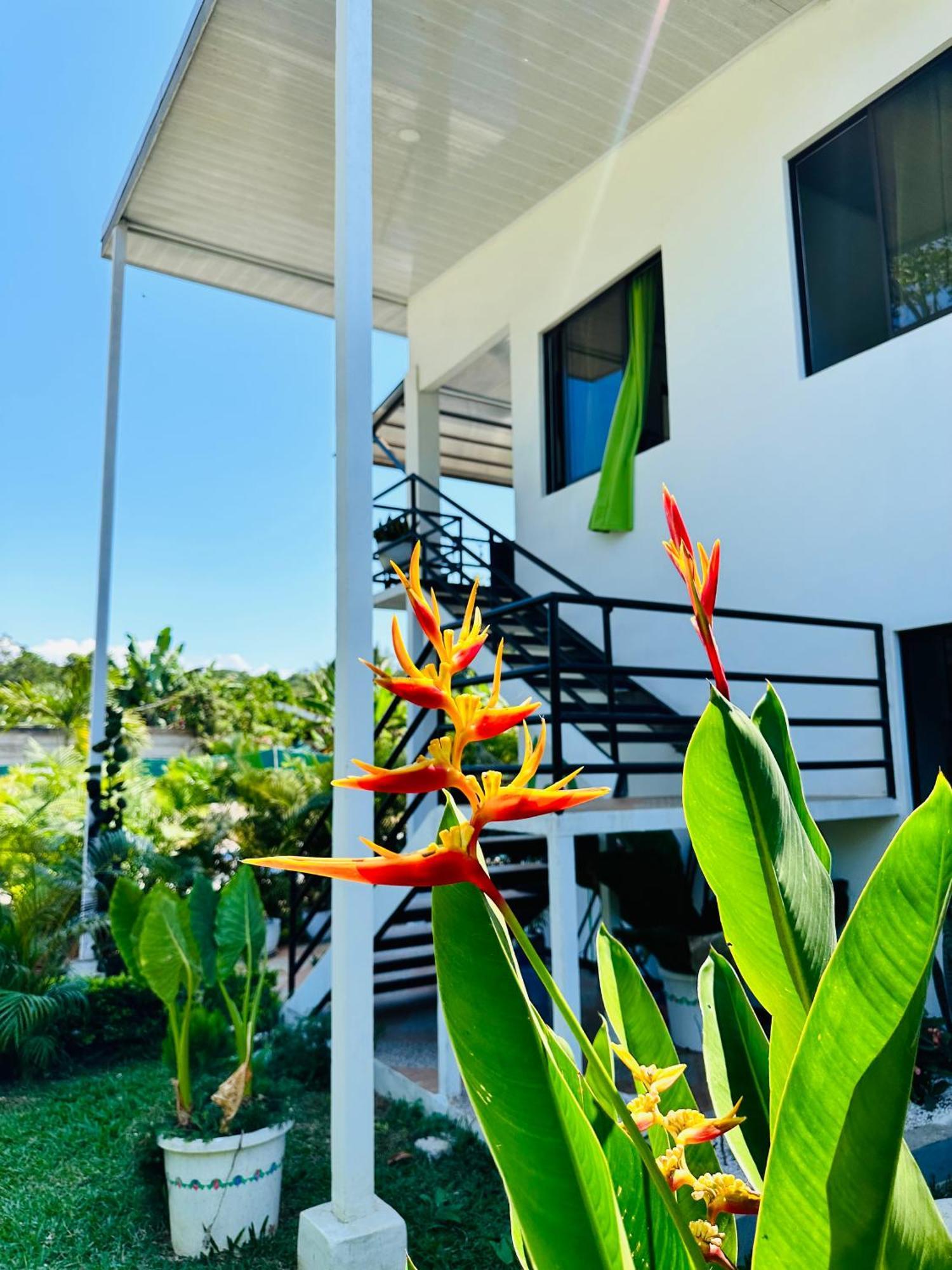 Oso Perezoso Pool Villa Puerto Viejo de Talamanca Екстериор снимка
