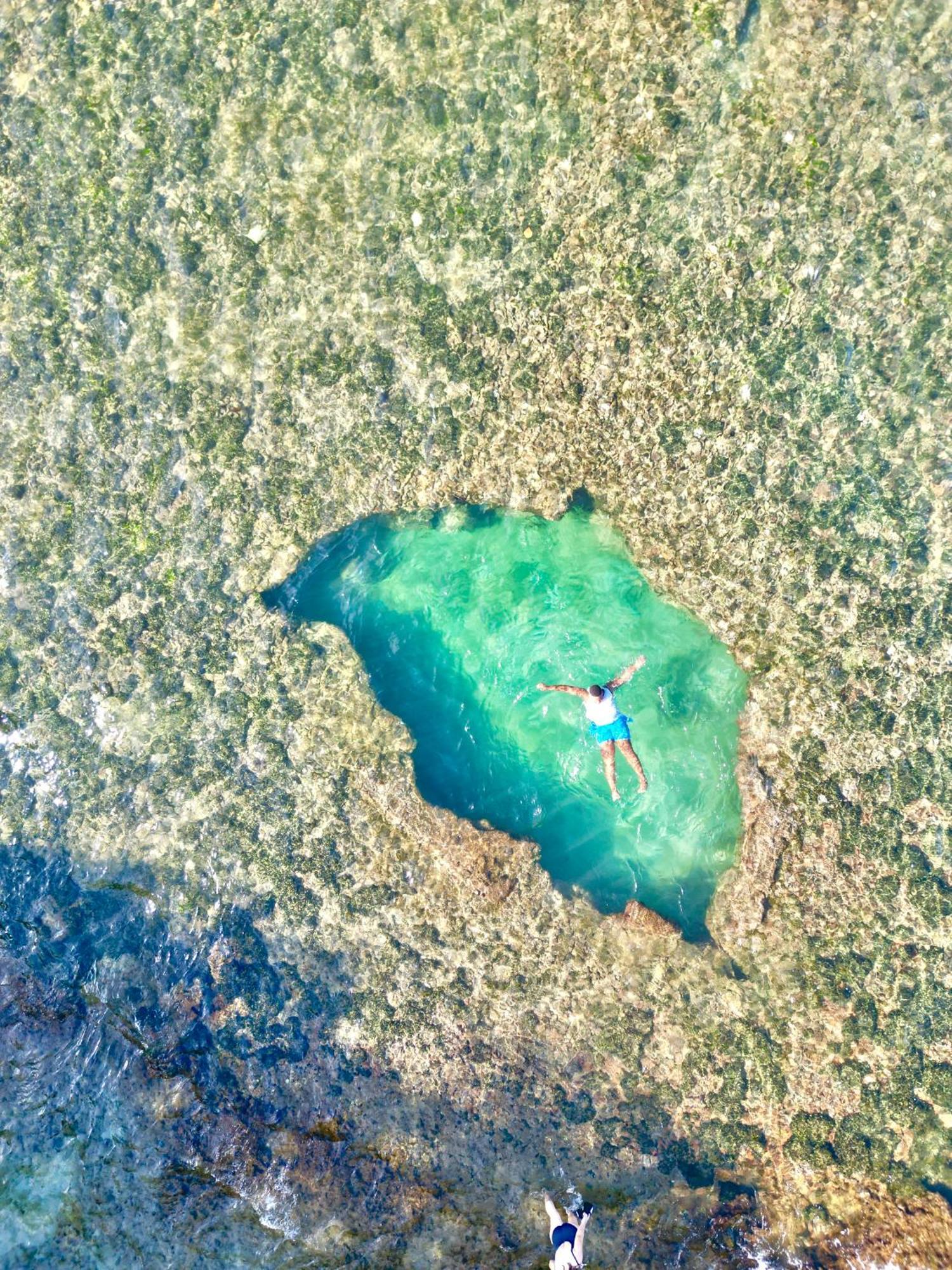 Oso Perezoso Pool Villa Puerto Viejo de Talamanca Екстериор снимка