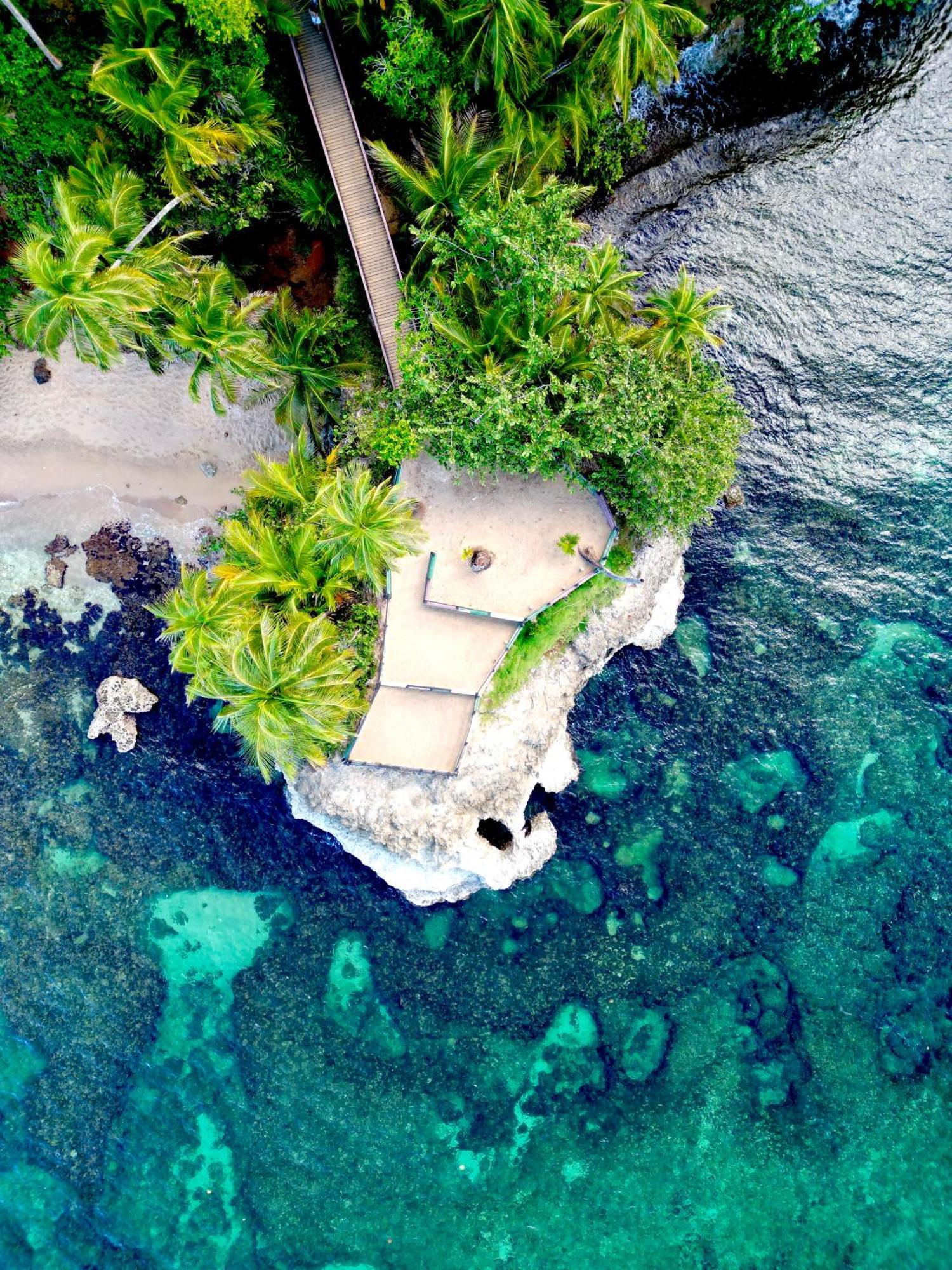 Oso Perezoso Pool Villa Puerto Viejo de Talamanca Екстериор снимка