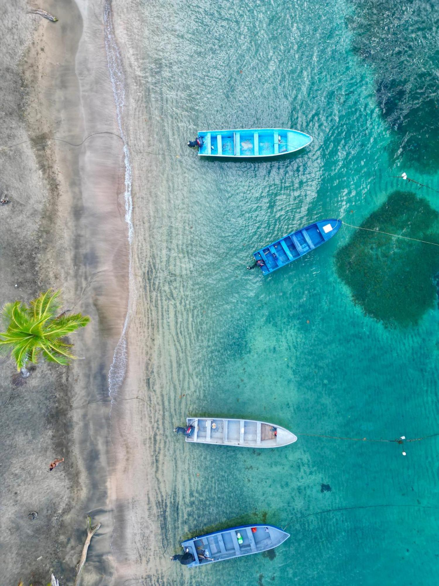 Oso Perezoso Pool Villa Puerto Viejo de Talamanca Екстериор снимка